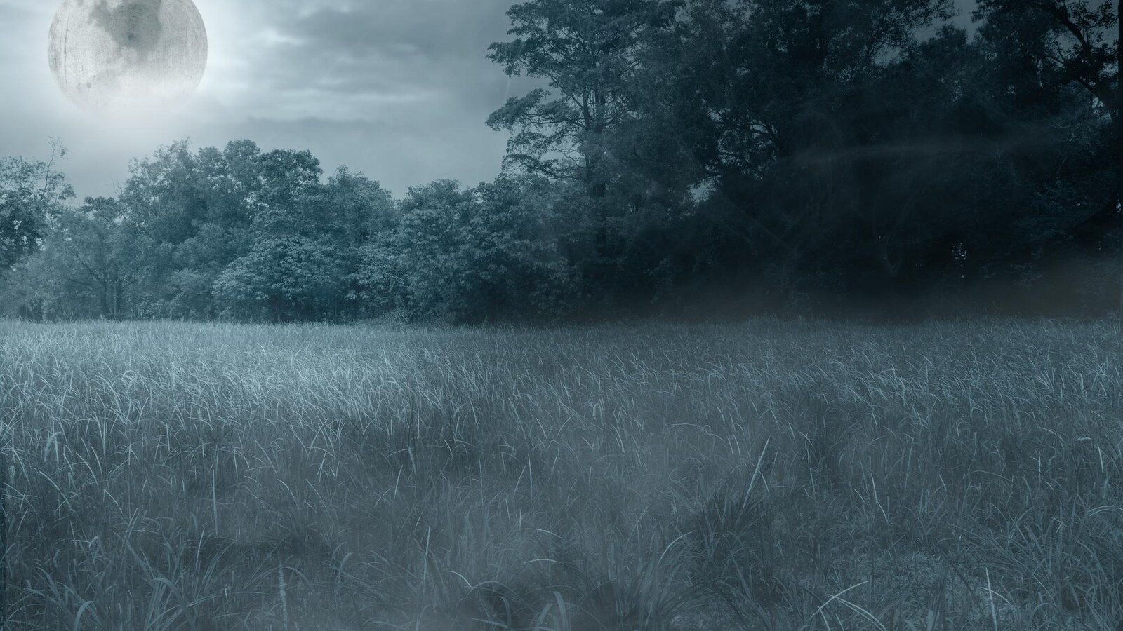 Horizontal gothic bog horror atmosphere for Blood on Her Tongue review